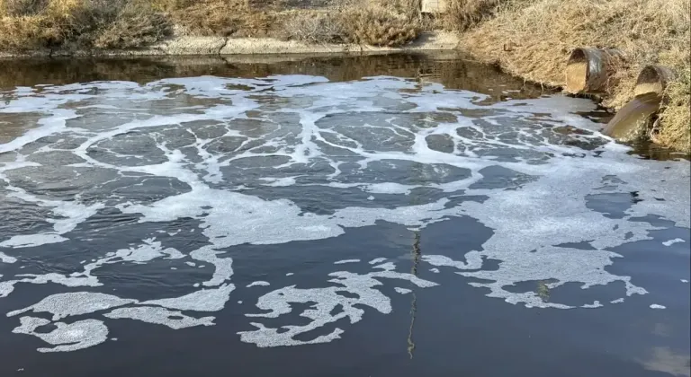 FOÇALILAR GEDİZ NEHRİ İÇİN İMZA KAMPANYASI BAŞLATTI